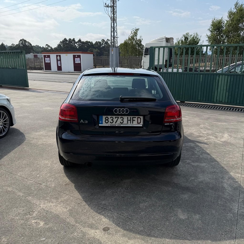 Foto 8 AUDI A3 1,6TDI 105cV 3 puertas