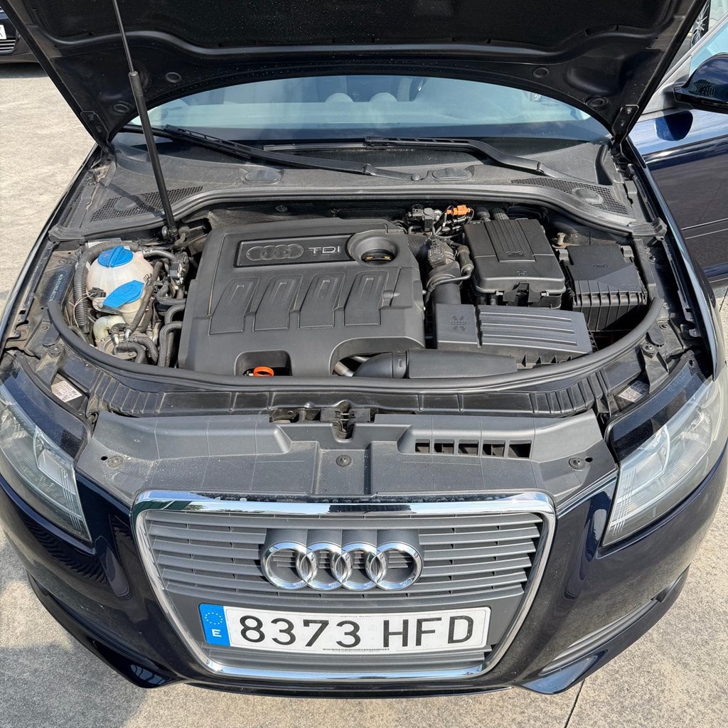 Foto 9 AUDI A3 1,6TDI 105cV 3 puertas